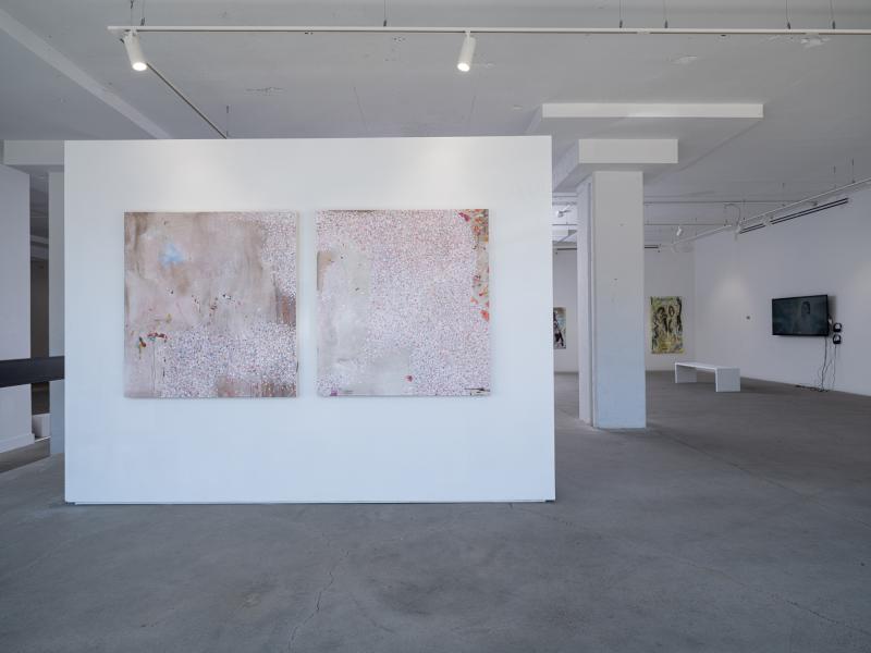 installation image of two wall mounted paintings and a video monitor