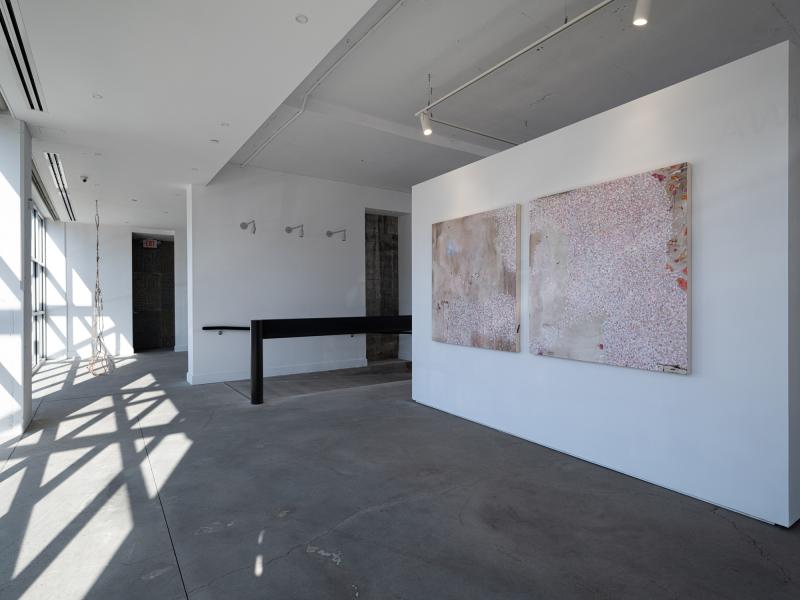 installation image of two wall mounted paintings and a ceiling hung sculpture