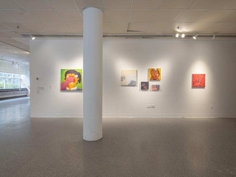 image of multiple paintings installed on a gallery wall