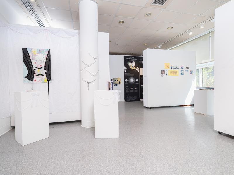 installation image of multiple paintings and design works in a gallery