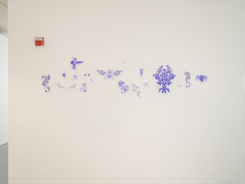 installation of multiple small ink drawings on a gallery wall