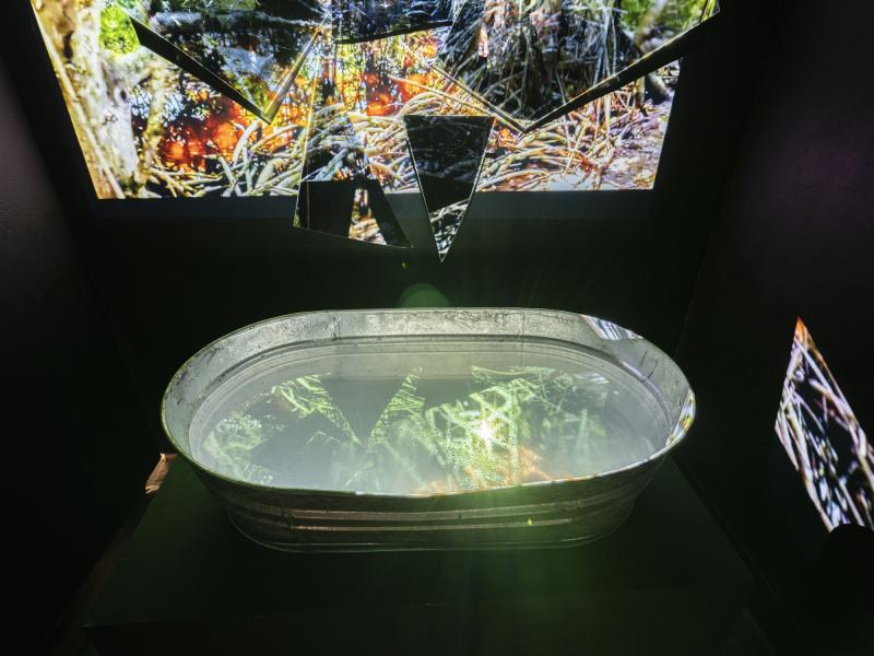 dark interior space with projected images, mirrors, tank of water and reflections