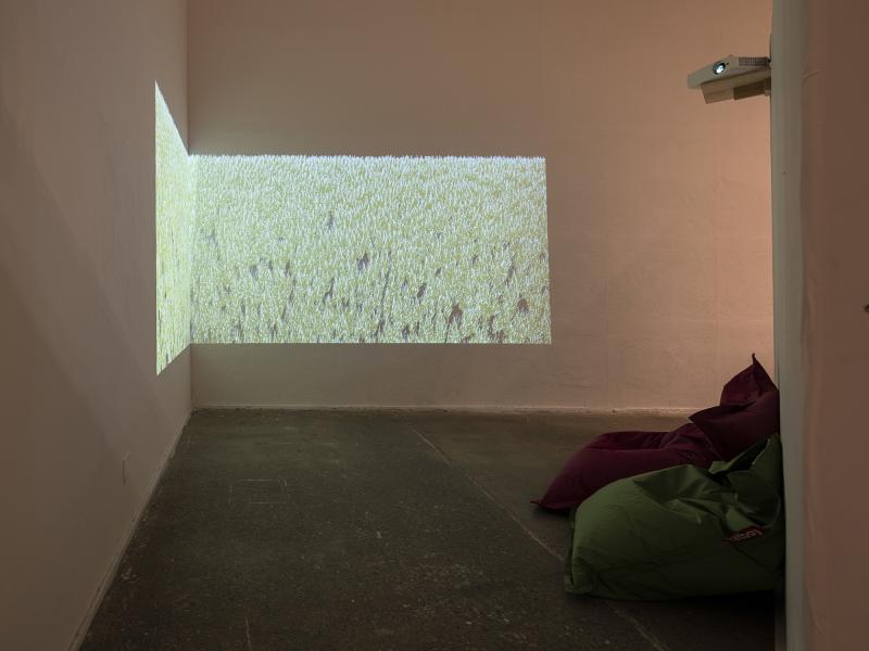 installation image of a dual projected digital video piece