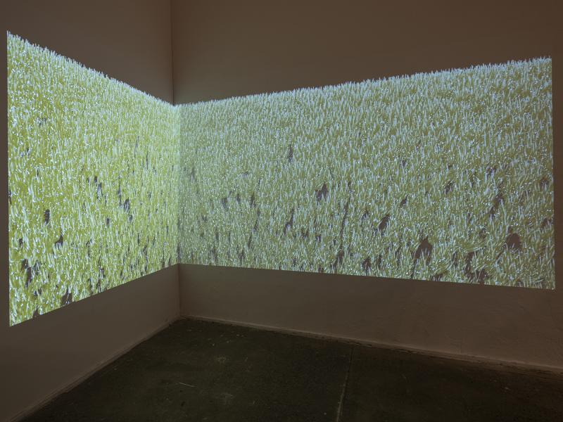 dual image projection displayed in the corner of two walls 