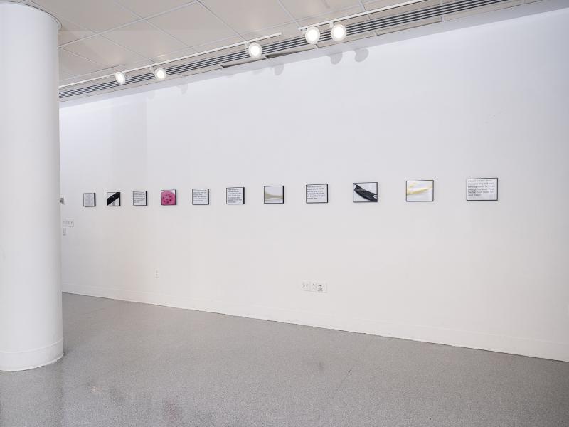 multiple artworks installed on gallery walls