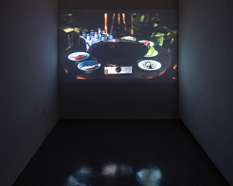 projected video artwork in a darkened gallery space