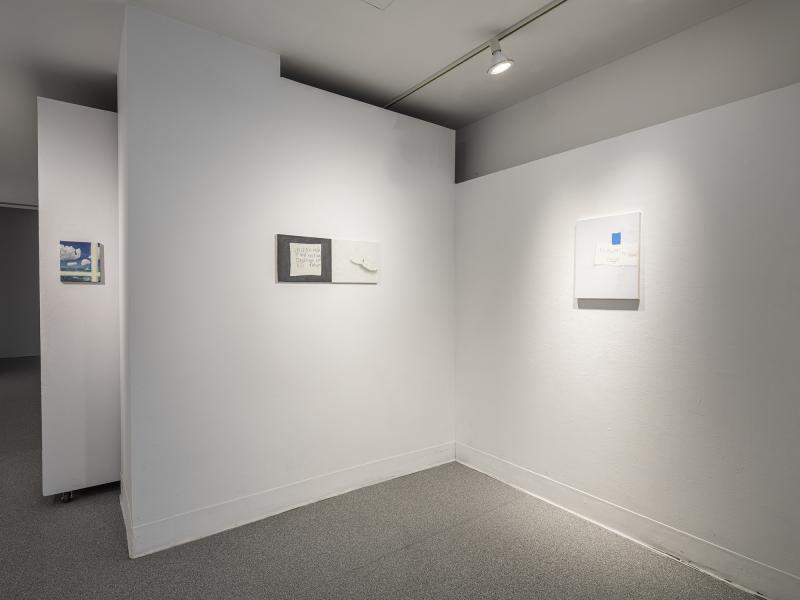 image of multiple small paintings installed on multiple gallery walls