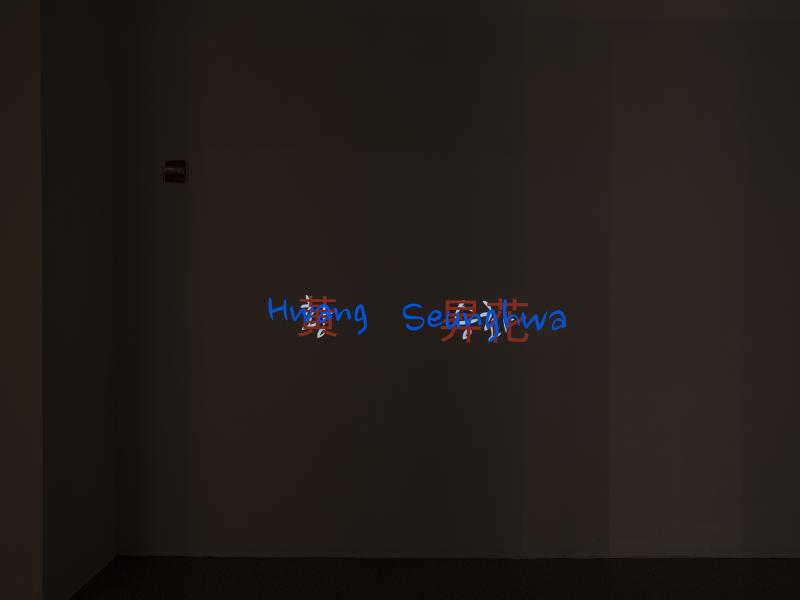 projected video artwork in a darkened gallery space