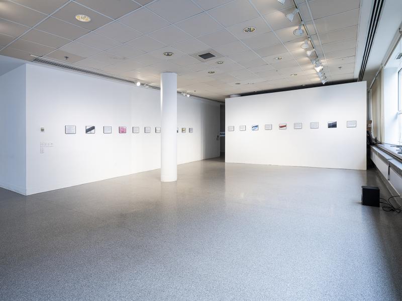 installation view of multiple art works installed on a gallery wall