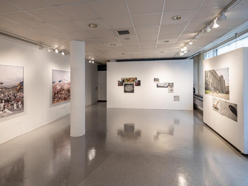 installation view of multiple art works installed in a gallery