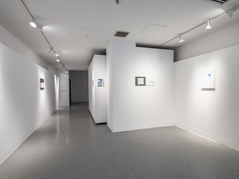 installation view of multiple art works installed on a gallery wall