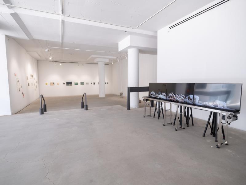 installation view of multiple art works in a gallery