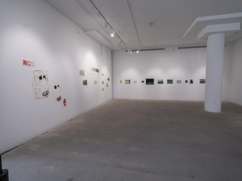 installation view of multiple art works in a gallery