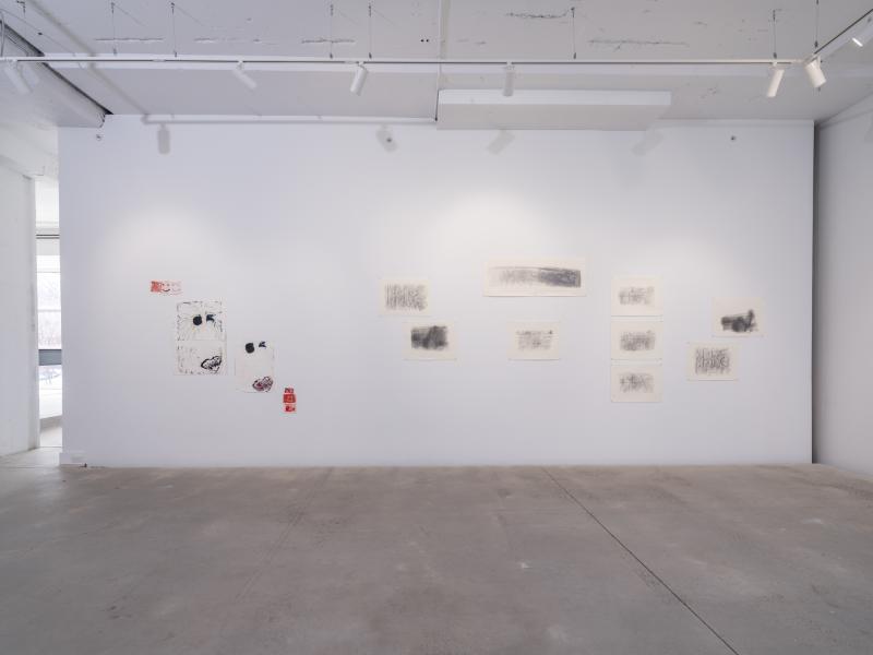 multiple works on paper installed on a gallery wall