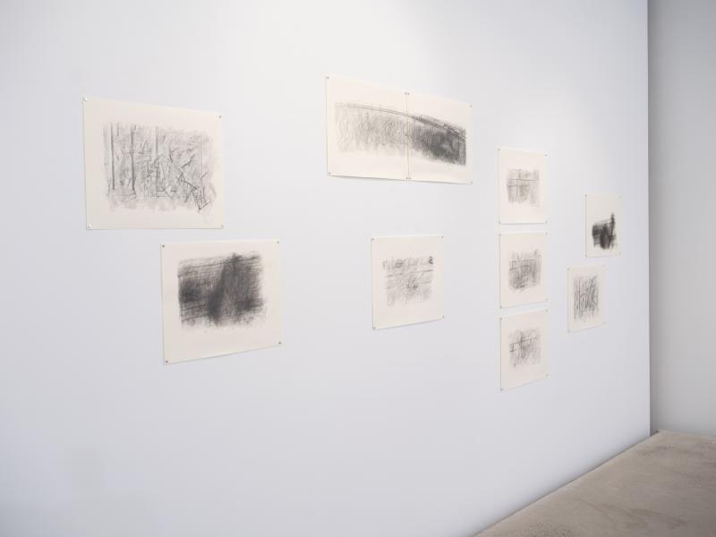 multiple drawings on paper installed on a gallery wall