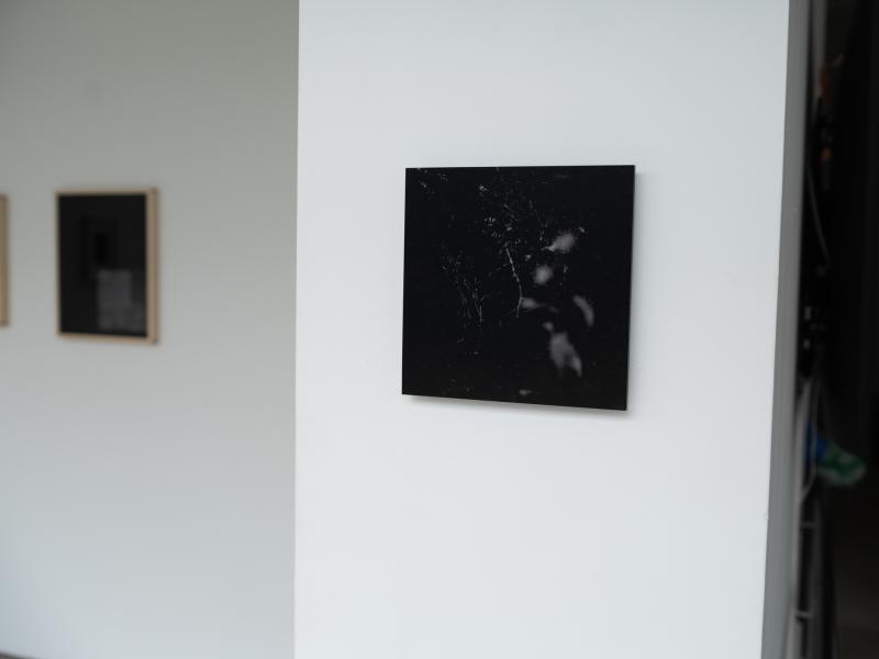 small photographic print installed on a gallery wall