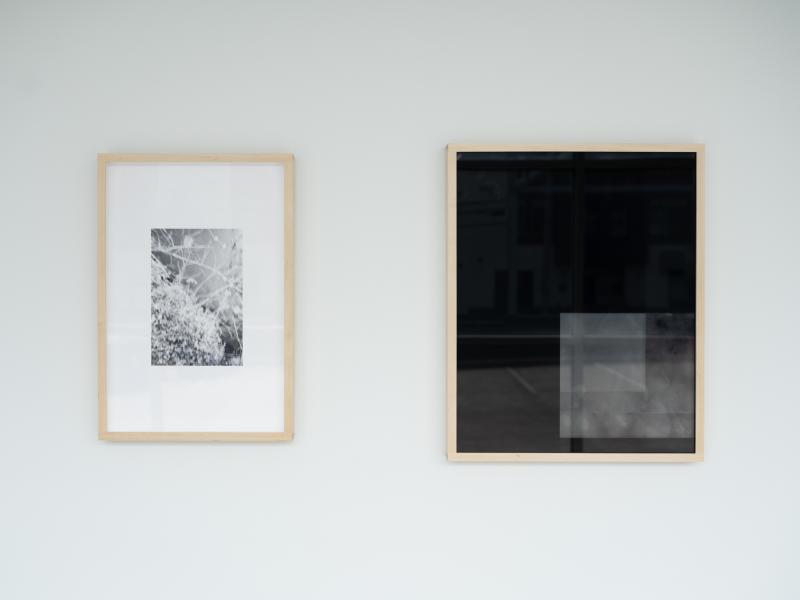 two photographic works installed on a gallery wall