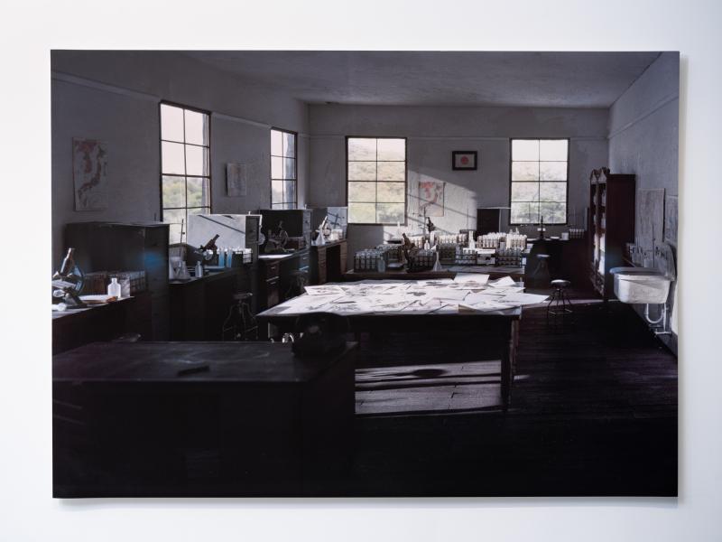 image of a large scale photograph installed on a gallery wall