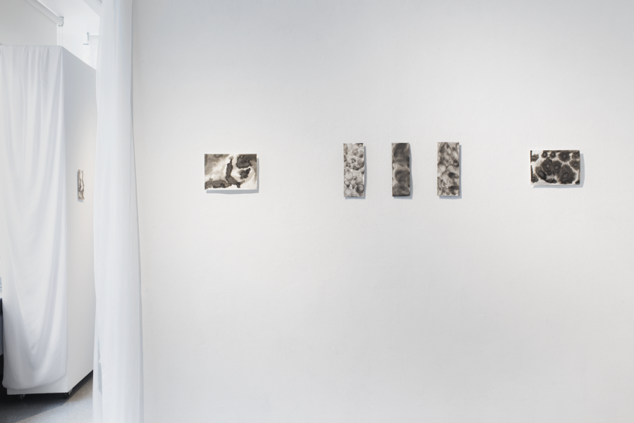 multiple small ink drawings installed on a gallery wall