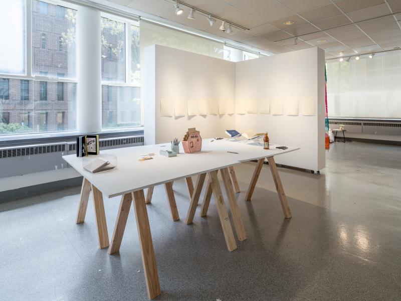 installation image of multiple books and objects on a table and posters installed in a corner