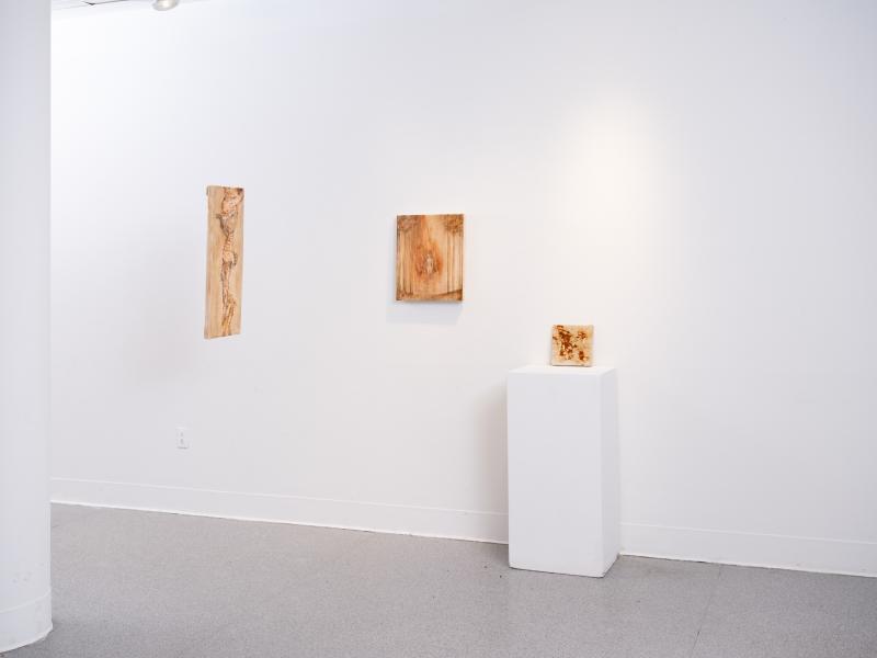 mixed media paintings installed on a wall and pedestal and suspended from the ceiling