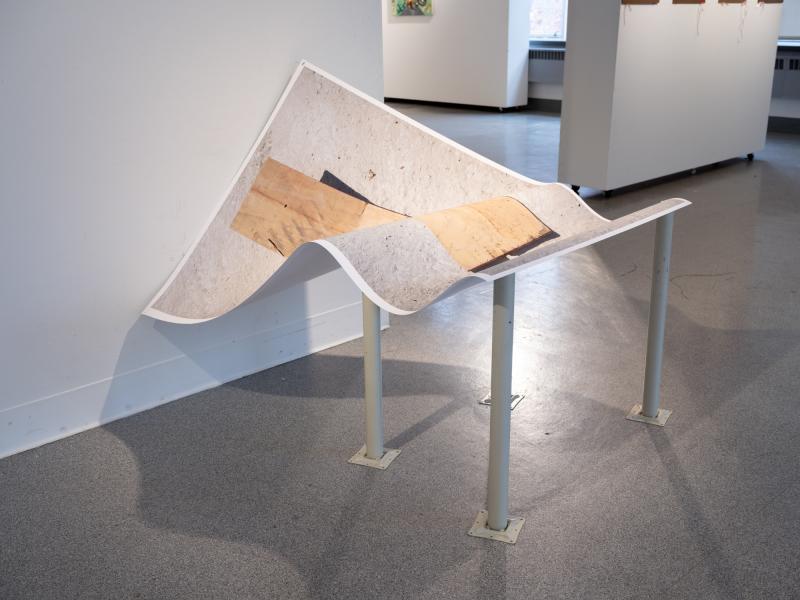 mixed media photo work installed on the wall and floor of a gallery
