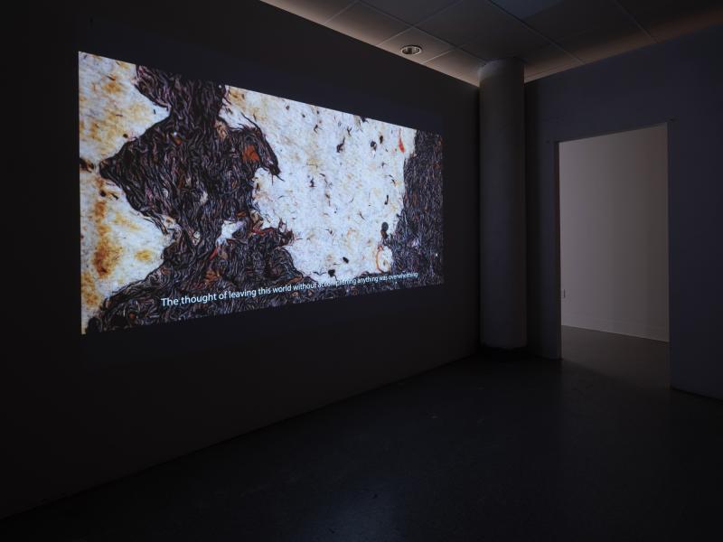 digital video projected in a dark gallery space