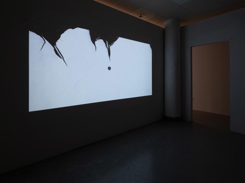 digital video projected in a dark gallery space