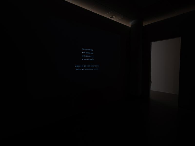 digital video projected in a dark gallery space
