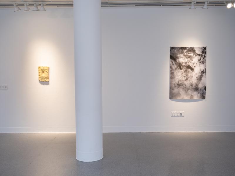 installation image of one photograph and 3D print on a gallery wall