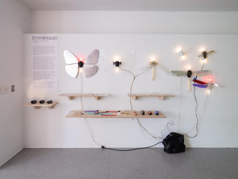 multi media installation installed on shelves and the wall of a gallery