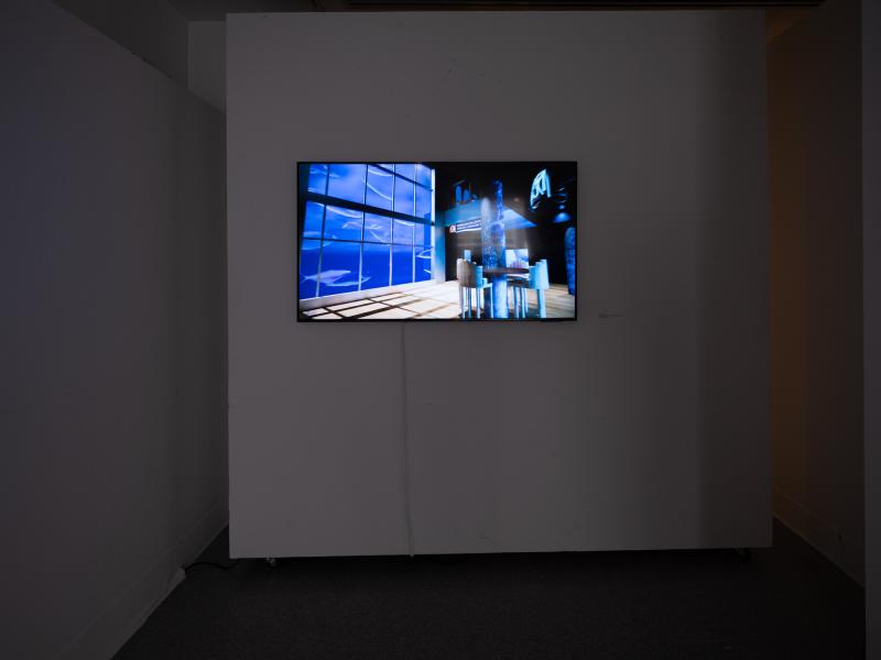 digital video displayed on a wall monitor