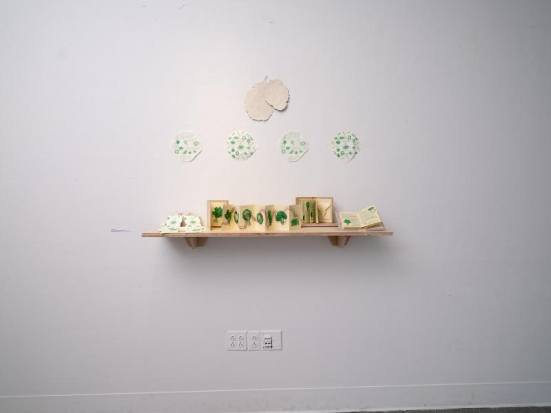 mixed media installation of packets and books installed on a shelf and wall of a gallery 