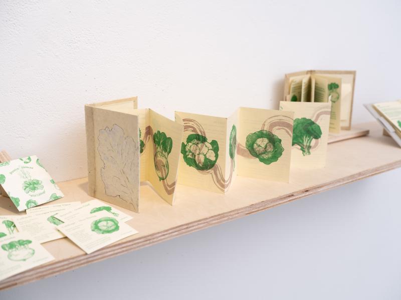detail image of packets and a book installed on a shelf