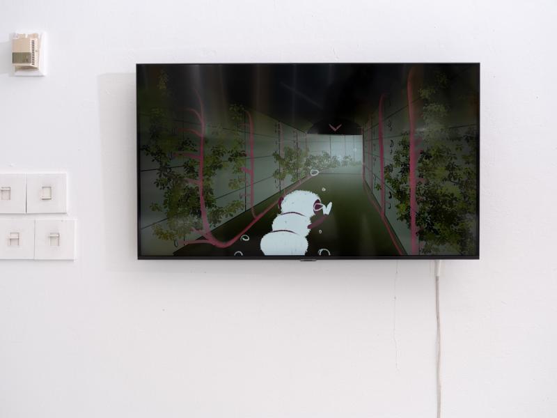 installation image of digital video on a wall monitor