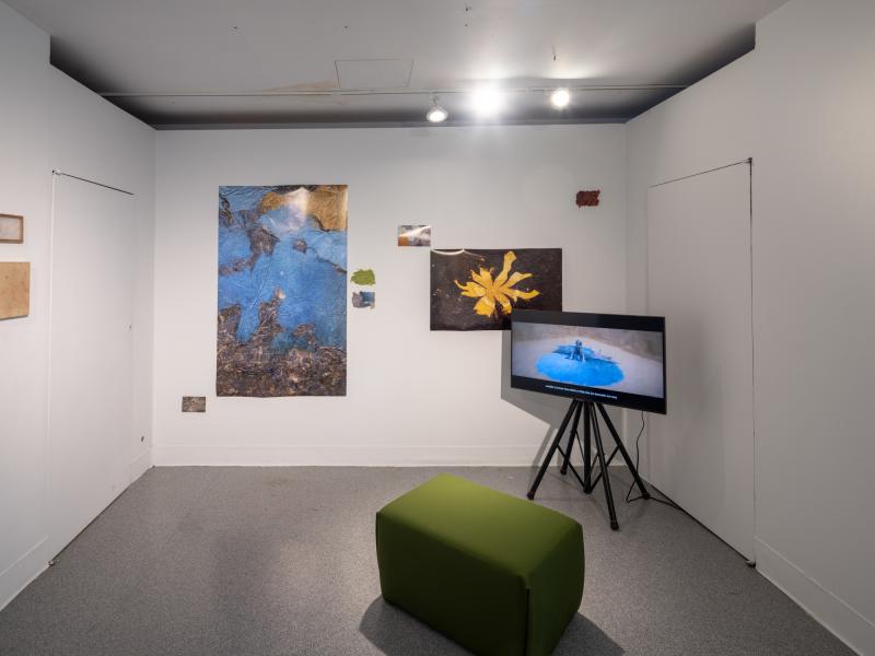 installation image of multiple photographs, digital video, and a seating area