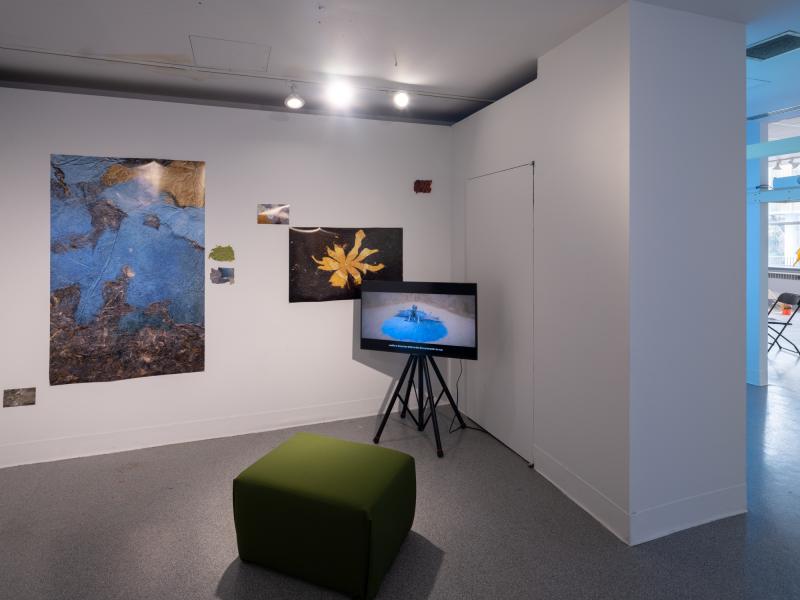 installation image of multiple mixed media works and digital video