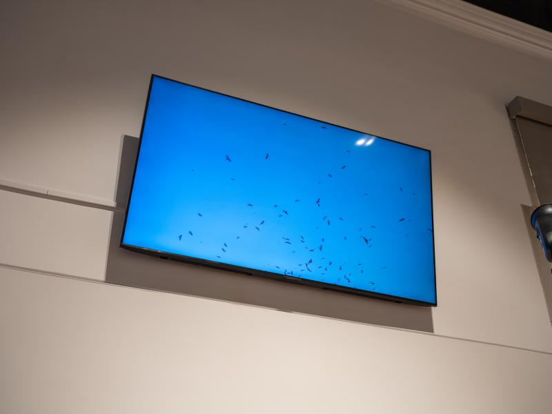 installation image of digital video installed overhead on a gallery wall 