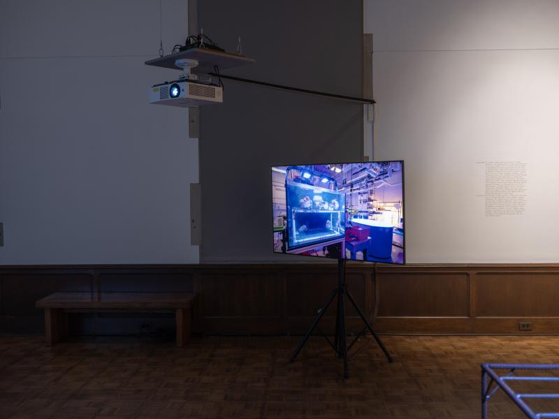 installation image of digital video displayed on a monitor and hanging projector