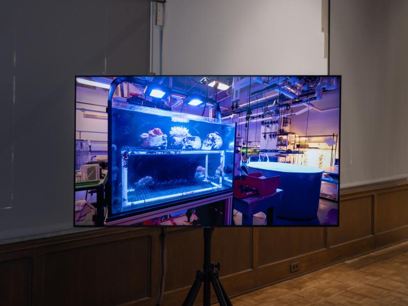 installation image of digital video displayed on a monitor