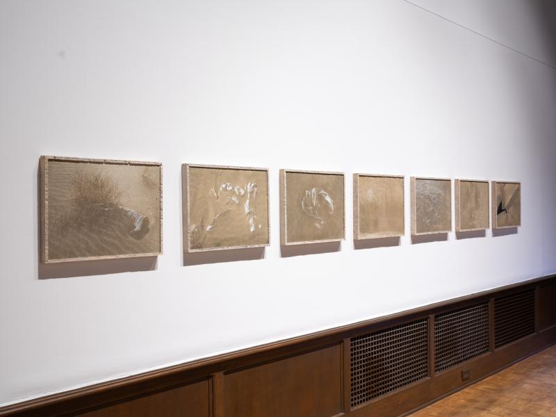 multiple mixed media framed pieces installed on a gallery wall