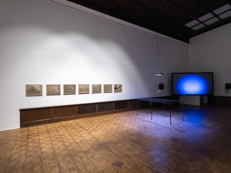 installation image with multiple sculptures, prints, and digital video