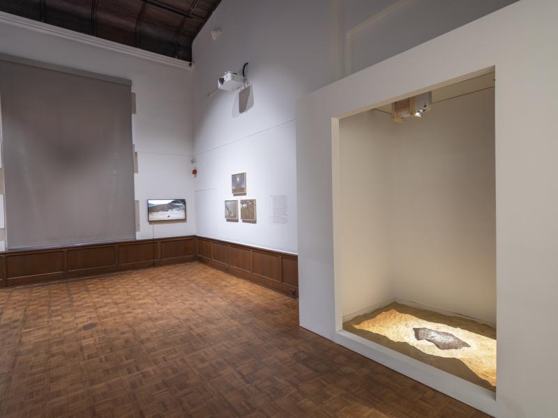 installation image with multiple sculptures, prints, and digital video