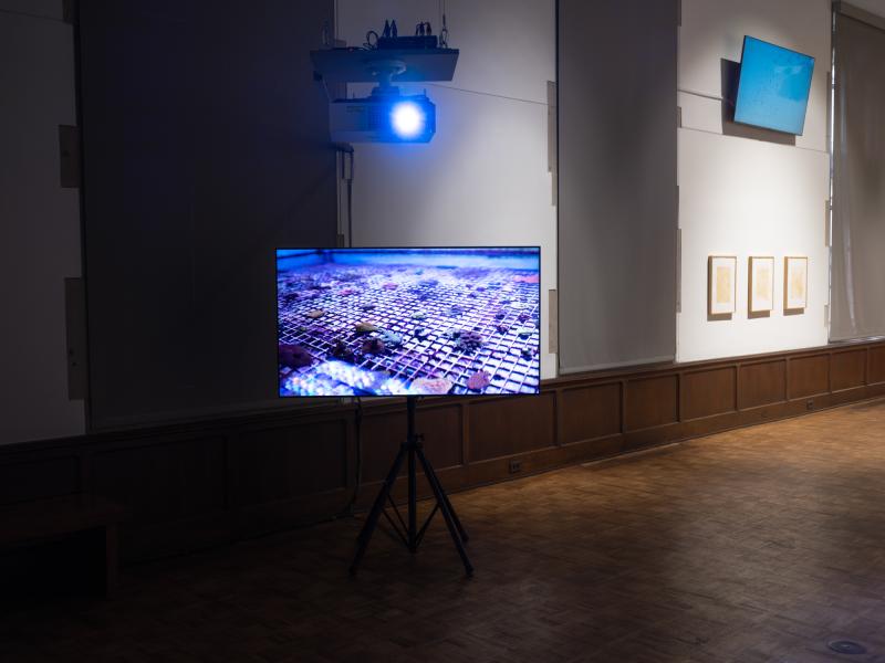 installation image with multiple sculptures, prints, and digital video