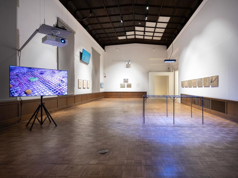 installation image with multiple sculptures, prints, and digital video