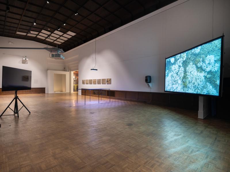 installation image with multiple sculptures, prints, and digital video