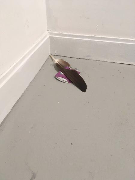 small sculpture placed on the floor combining an aluminum can and a feather