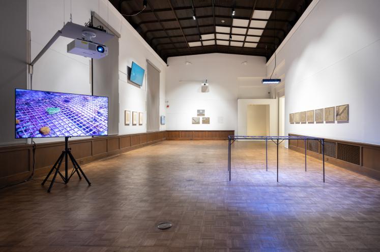installation image of multiple wall and floor pieces installed in a gallery