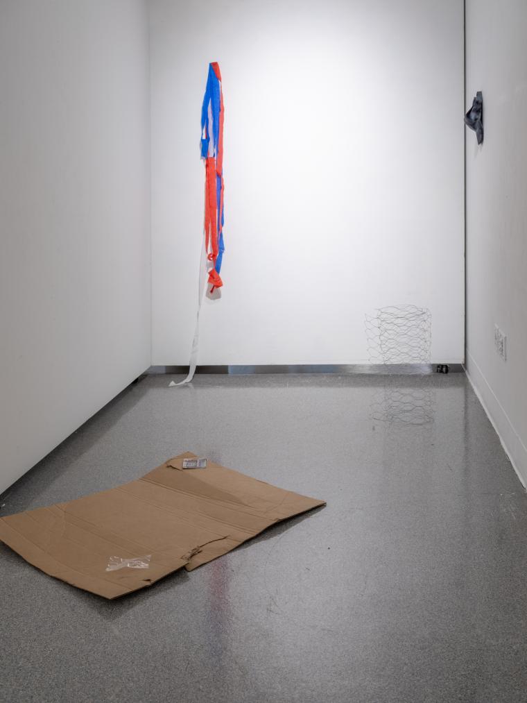 installation image of sculptures installed on a gallery floor and walls